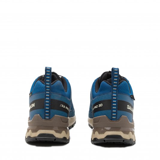 Купити Salomon XA Pro 3D V9 GORE-TEX Blue/Black в MONOAD