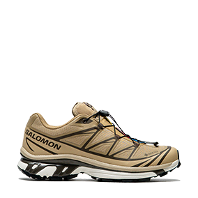Купити Salomon XT-6 GORE-TEX Kelp/Wren/Safari в MONOAD