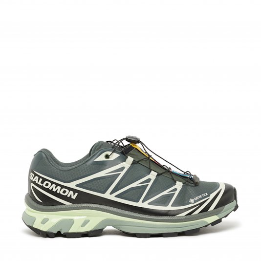Купити Salomon XT-6 GORE-TEX Urban Chic/Black/Lime Cream в MONOAD