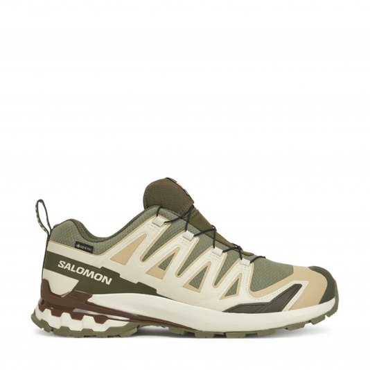 Купити Salomon XA Pro 3D V9 Deep Lichen Green/Safari/Dark Earth в