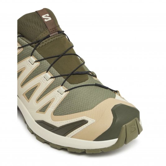 Купити Salomon XA Pro 3D V9 Deep Lichen Green/Safari/Dark Earth в